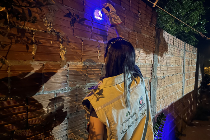 Ações noturnas resultam na captura de 3,3 mil escorpiões na região de Jacarezinho