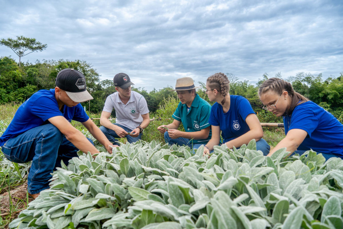 Paraná fortalece ensino agrícola com tecnologia, cursos técnicos e inovação aplicada