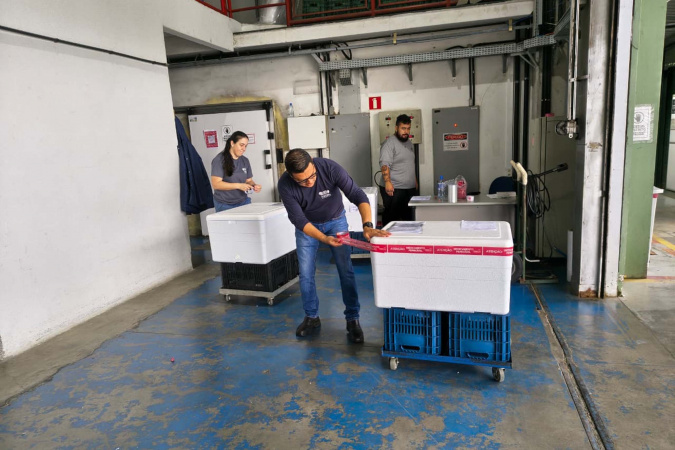 Paraná inicia a distribuição da vacina contra o Vírus Sincicial Respiratório para o Interior