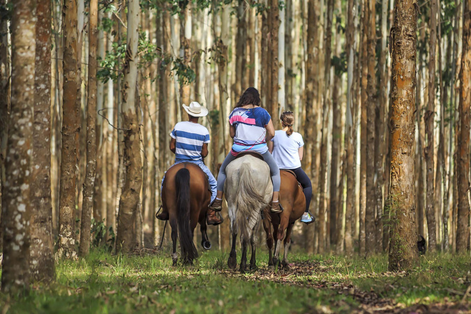 Turismo rural no Paraná: pesquisa mostra expansão e qualificação no setor