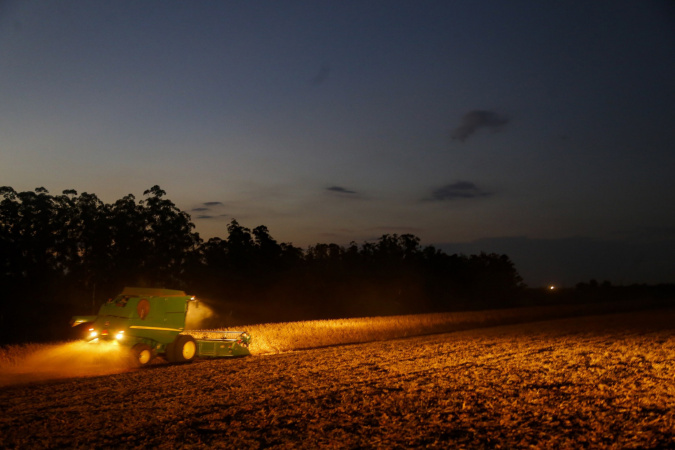 Portaria do Paraná amplia período de plantio da soja para produção de sementes