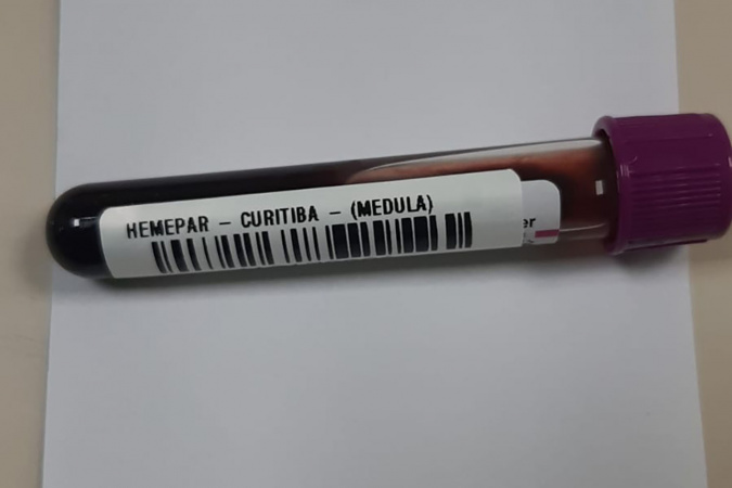 Fevereiro Laranja: mês da conscientização sobre leucemia reforça importância do diagnóstico