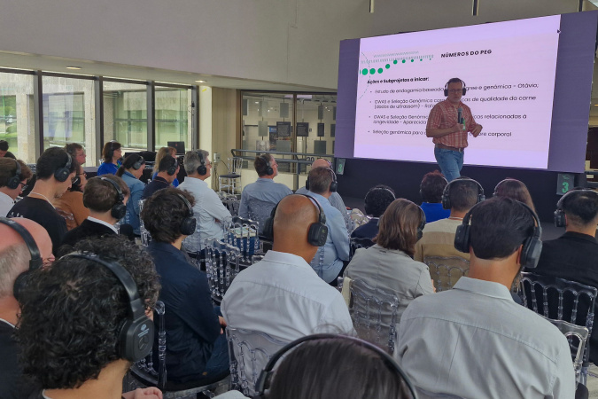 Novos programas do Estado impulsionam conexões e internacionalização da ciência