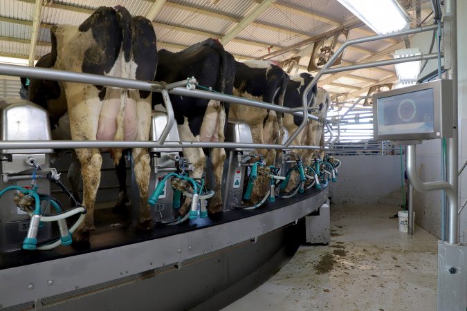 Cenário atual projeta aumento na remuneração do leite no Paraná, aponta Deral